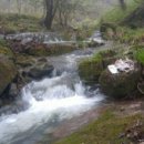 삼봉농원 이미지