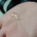 아이팁스(주) 이미지