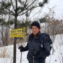 아홉사리로 이미지