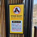 청풍문화재단지 매점 앞 화장실 | 제천가볼만한곳 - 옥순봉 출렁다리와 청풍문화유산단지