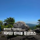 도사곡리 임도길 간이화장실 | 지리산 반야봉 등산코스(성삼재휴게소-노고단-반야봉)