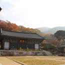 공주-02 이미지