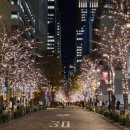 황금자동차정비 | 도쿄 마루노우치 일루미네이션과 신마루노우치 빌딩 7층 테라스 무료전망대 야경 후기(명소 추천)