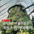 스카이 돔 나이트 | 싱가포르 가든스바이더베이 입장권 가격 트리쇼 시간 꿀팁
