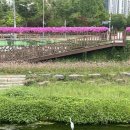 양덕동561 이미지