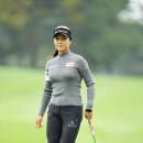 윤이나개 이미지