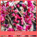 영남루1길 이미지