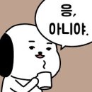 성자 이미지