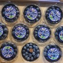 금호농산 이미지