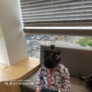 이호영소아청소년과의원 이미지