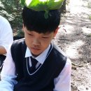 물야중학교 이미지