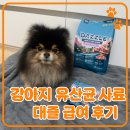 동아원 | 사료와 유산균을 한번에! 강아지유산균사료 대즐 급여 후기