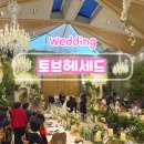 강남-230 | 강남 하우스웨딩 토브헤세드 홀투어 상담 후기 / 26년 견적 공유