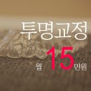 조이플란트 네이버블로그