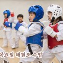 153태권도장 이미지