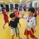 행복한 삼성태권도장 이미지