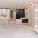 로얄독 강아지분양 화성동탄점 | 동탄강아지차밍독 에서 건강한 반려가족 강아지를 만난후기!!~