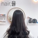헤어율 이미지