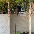 서홍동 주민센터 이미지