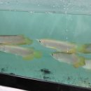 워터월드코리아 이미지