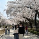 경마공원역 6번 출구 | 서울대공원 과천경마공원 벚꽃 주차장 꿀팁 요금 공영주차장 추천