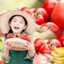 토마토온누리약국 이미지