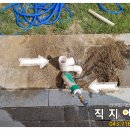 고삼초교병설유치원 네이버블로그