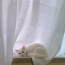 송도 종합 동물병원 이미지