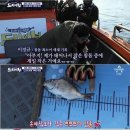 도시어부 이미지