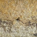 부여 조왕사 석탑 이미지