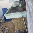 앞산순환로 이미지