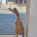 합정오토 | 6호선 상수역 오토 김밥에서 오토콤비를 먹고 난 후...바닐라라떼 리얼 후기(친구의 공방에서 무료...