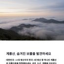 🏔️ 대한민국 100대 명산, 계룡산에서 만나는 자연의 신비