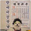 부산애견호텔 애견유치원 맘바이 서면본점 이미지