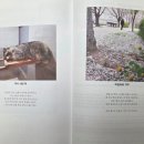 한국책쓰기코칭협회