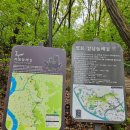 ^ 대모산/ 230416.일/ 2313