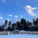 우주목장 이미지