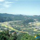 무주읍011 Daum카페