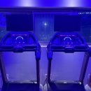 동현피트니스(석정점) | [리뷰] 안성 동현피트니스 석정동3호점 운동 후기