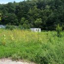 양지농장1 이미지