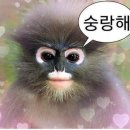 라이온네이처빌리지 이미지