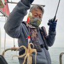 뉴해양호