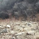 대야농장 이미지