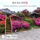 구미정 | 🚗정선펜션 어디가지 고민될 땐? 하늘나리펜션에서 힐링가능!💙(정선펜션추천/정선단체펜션/구미정계곡펜션)