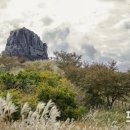 진해구 ⓒ-3 이미지