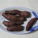 대하회가든 이미지