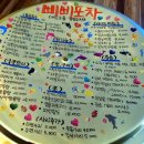 삐삐포차 이미지