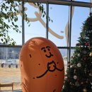 카페 카빈 | 춘천 삼천동 삼악산케이블카 근처, 단체석 있는 대형 카페 <카페카빈>