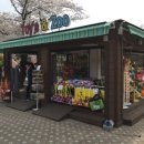 봄 꽃길김밥 이미지