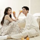 설레네 이미지